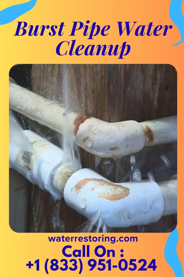 Burst Pipe Water Cleanup in Purple Sage, WY