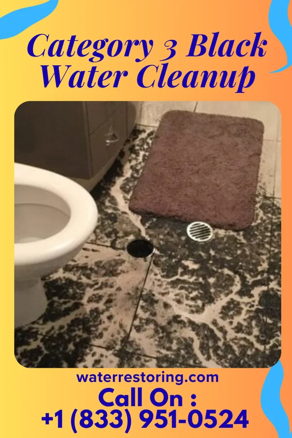 Category 3 Black Water Cleanup in Purple Sage, WY