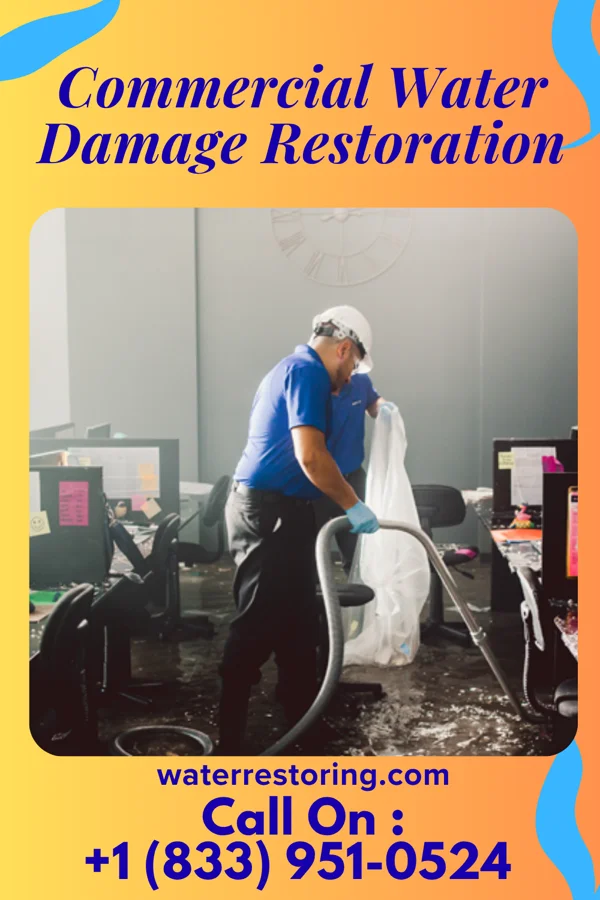 Commercial Water Damage Restoration in Purple Sage, WY