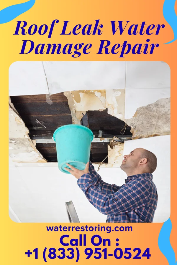 Roof Leak Water Damage Repair in Purple Sage, WY